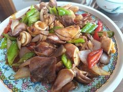 酱爆海兔-鸿运来美食府