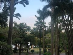 -深圳龙潭公园