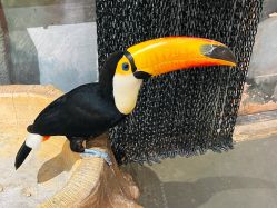 -Zoolung Zoolung动物主题公园(海信广场店)