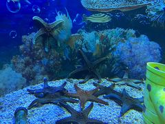 -海合安成都极地海洋公园