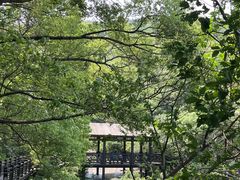 -白马涧龙池景区