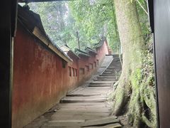 -青城山