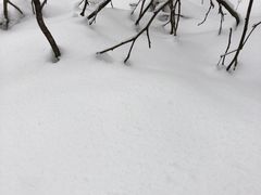 -九峰山