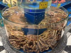 -新海渔港·胶东海鲜家常菜·家宴(奥体中心店)