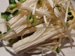 -川味堂·四川豆花(八卦岭店)