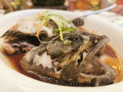 清蒸龙胆鱼-国惠大酒楼(宝龙店)