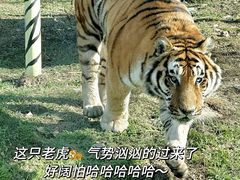 -西安秦岭野生动物园