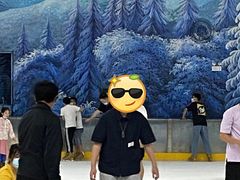 -世界之窗阿尔卑斯冰雪世界