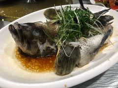 -强记海鲜·大排档(蛇口新街店)