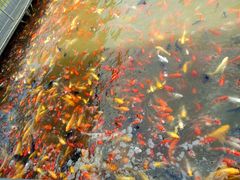 -泰安地下龙宫景区