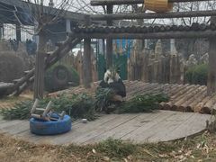 -大连森林动物园