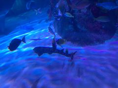 -沈阳海洋探索中心