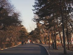 -长春市南湖公园