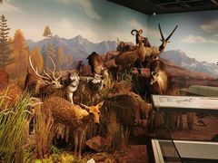 -国家自然博物馆