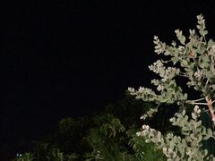 -邊渡咖啡