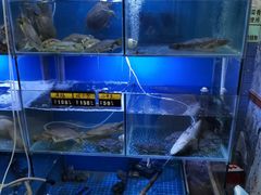 水产区-金龙·打边炉(武进路店)