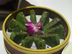 -阿露佳·舌尖上的安吉菜