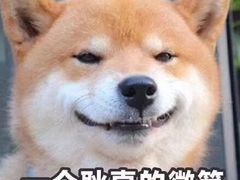 -乐凯撒披萨(喜荟城店)
