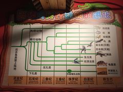 -太奥幻太奇海洋馆