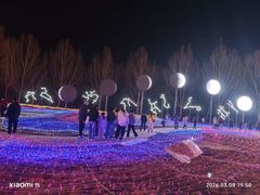 -淄博花灯齐彩城