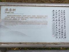 -北京石刻艺术博物馆(五塔寺)