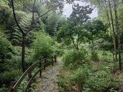 -宁波浙东大竹海景区