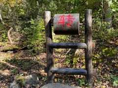 -三块石国家森林公园