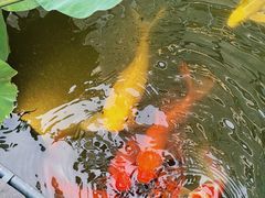 -漫笙舍Manse·咖啡·民宿