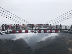 -梦幻奥陶纪景区