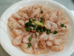 盐水煮白虾-双子楼大酒店(城开国际写字楼店)