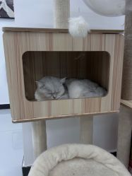 -熙.Hair 丨专注女子中长发丨