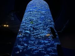 -香港海洋公园