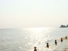 -瀛洲公园
