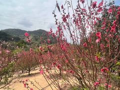 -水濂山森林公园