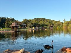 -南京银杏湖乐园