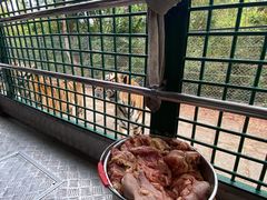 -深圳野生动物园