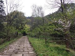 -黄公望隐居地