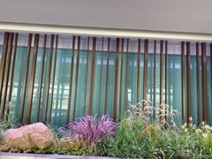 -曼谷素万那普国际机场