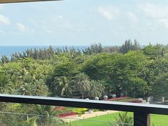 -海南清水湾莱佛士酒店