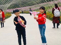 -秀丽东方
