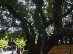 -桂林独秀峰王城景区