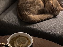 柠檬桂花蜜-咖法森林·咖啡  酒吧(天河店)