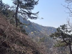 -鲁山国家森林公园