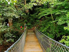 -石台牯牛降景区