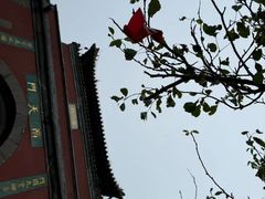 -泰山风景名胜区