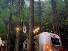 -波尔登森林公园