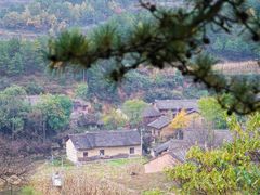 -秦岭风景区