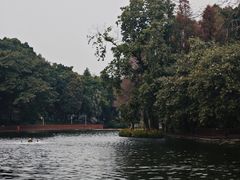 -荔湾湖公园