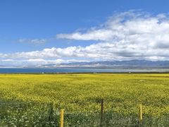 -青海湖国家重点风景名胜区