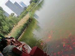 -西海子公园